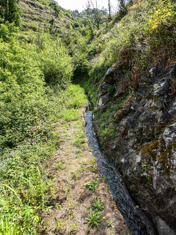 13.05.2019 Ein neuer Aufstieg von Meia Legua nach Eira do Mourao, und die Rätsel der s der Levadas de Baixo und Meio — Até à Madre da Levada de Baixo — foto 2