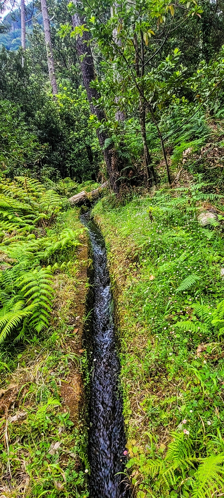 Levada dos Agriões — Madre depois do traçado no ribeiro — foto 1