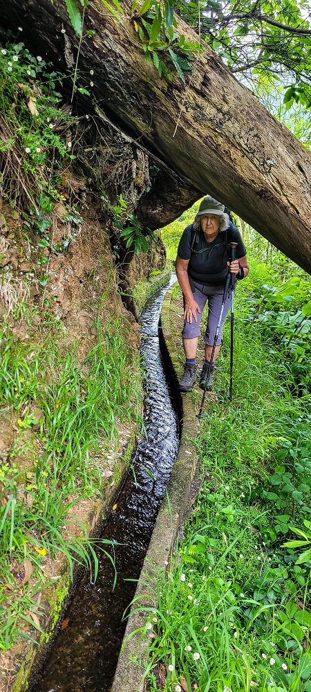 Levada do Poio — Verlauf bis zum Reservoir — Foto 5