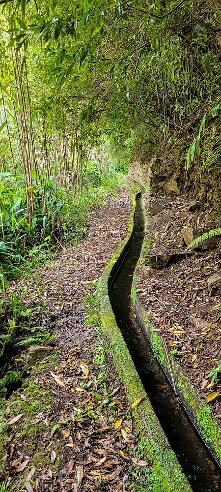 Levada do Poio — Verlauf bis zum Reservoir — Foto 4