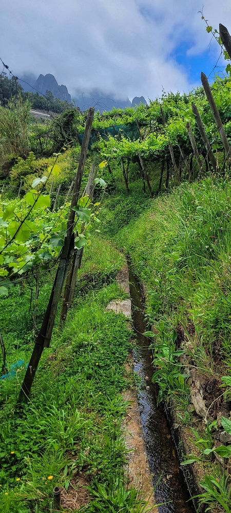 Levada do Poio — Verlauf bis zum Reservoir — Foto 2