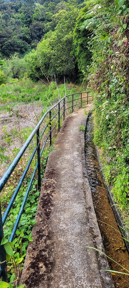 Levada do Poio — Verlauf bis zum Reservoir — Foto 1