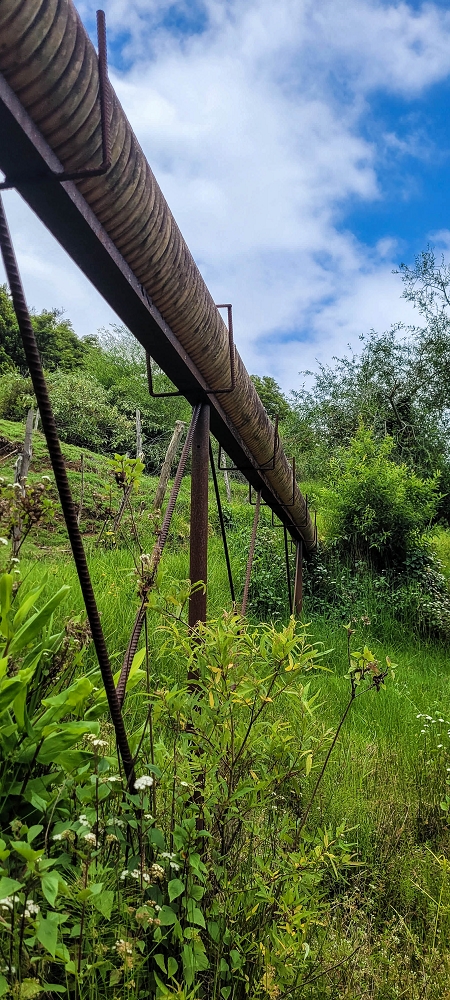 Levada do Poio — Die Rohrbrücke — Foto 3