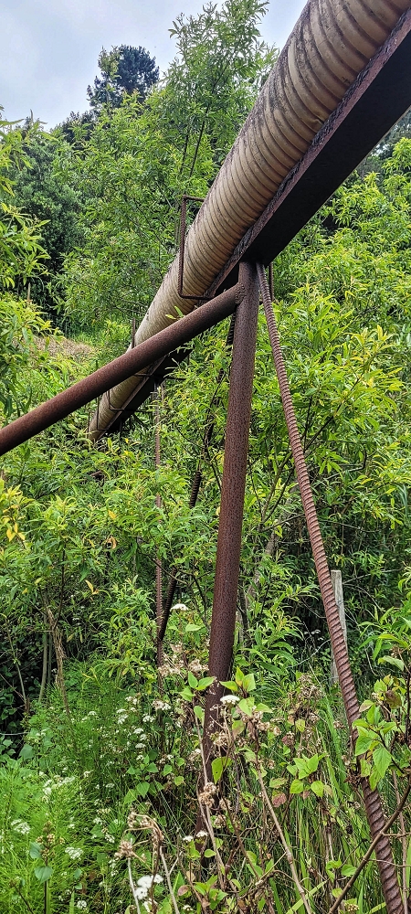 Levada do Poio — Die Rohrbrücke — Foto 4