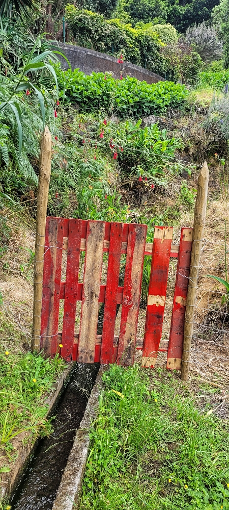 13.06.2022 3 neue Levadas westlich von Rosario — A passagem do ribeiro como ponte de tubagem — foto 4