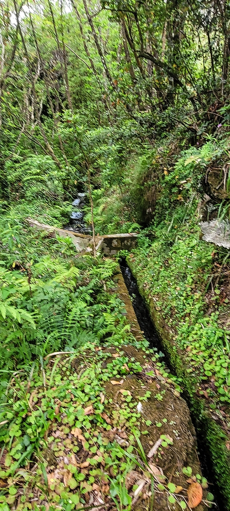 Levada dos Agriões — Madre depois do traçado no ribeiro — foto 2