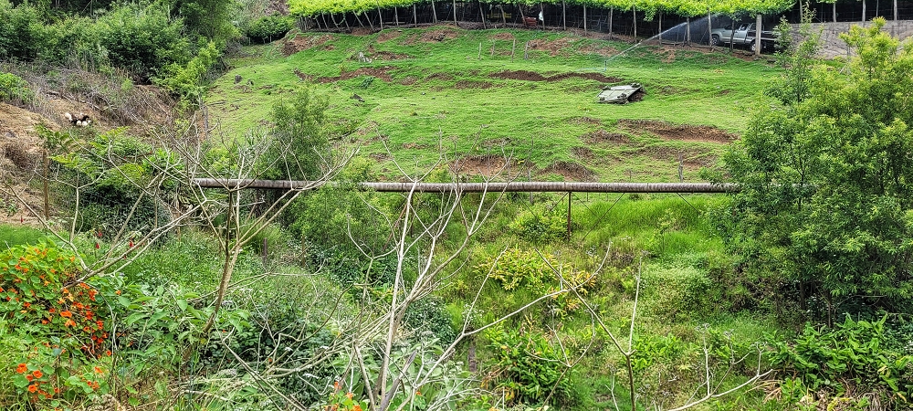 Levada do Poio — Die Rohrbrücke — Foto 1