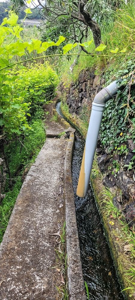 13.06.2022 3 neue Levadas westlich von Rosario — A passagem do ribeiro como ponte de tubagem — foto 7