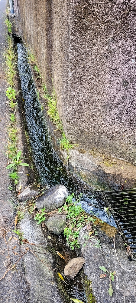 Levada do Poio — Querung der VE4 und der weiteren Strassen — Foto 2