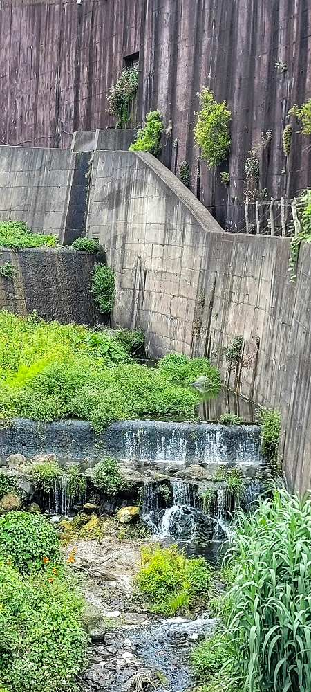 Levada do Poio — Die Madre in der Ribeira do Vargem — Foto 6