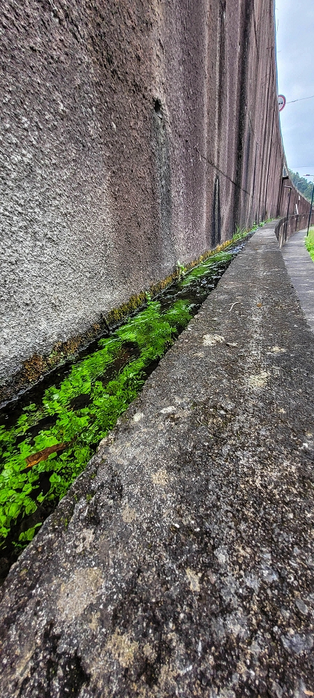 Levada do Poio — Die ersten Meter in der Stützmauer der Ribeira da Vargem — Foto 6