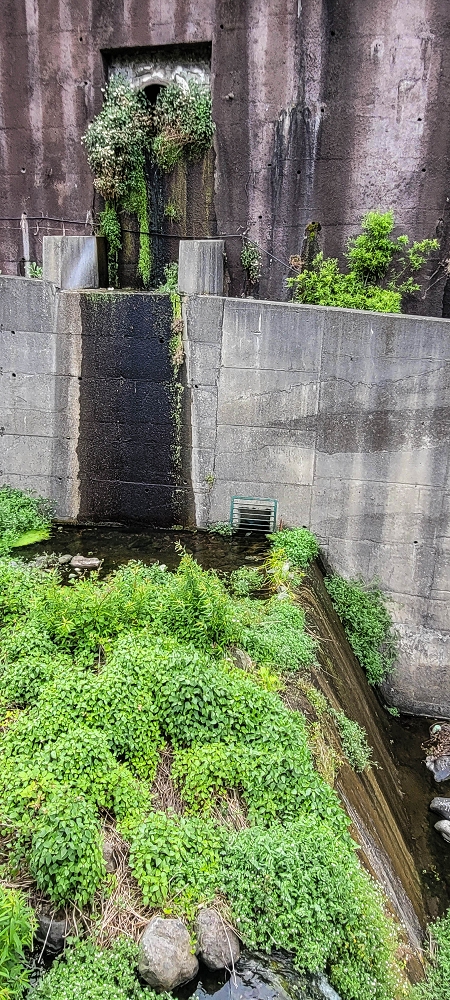 Levada do Poio — Die Madre in der Ribeira do Vargem — Foto 1