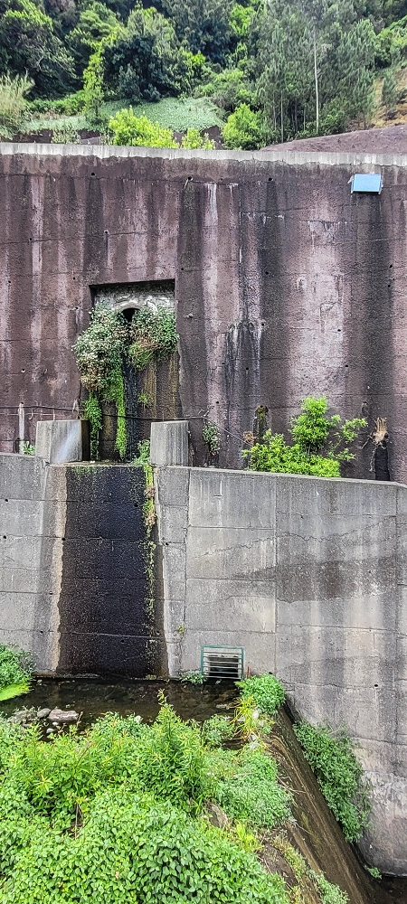 Levada do Poio — Die Madre in der Ribeira do Vargem — Foto 2