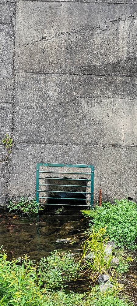 Levada do Poio — Die Madre in der Ribeira do Vargem — Foto 3