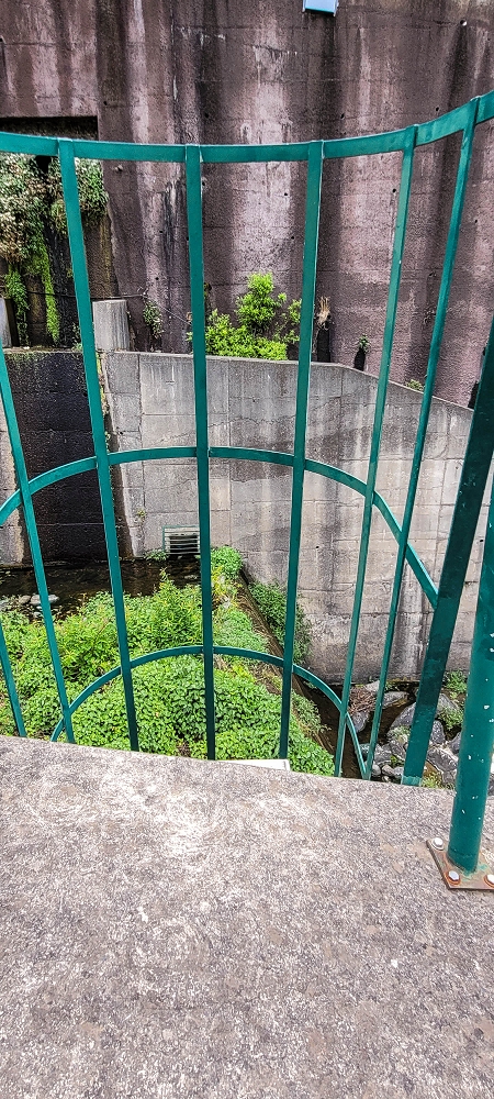 Levada do Poio — Die Madre in der Ribeira do Vargem — Foto 5