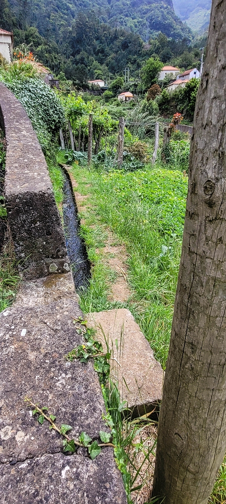 Levada da Achada do Beirão — Kreuzung mit dem Caminho do Estreito da Vargem — Foto 2