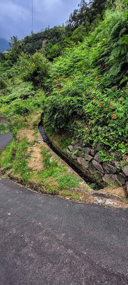 Levada da Achada do Beirão — Kreuzung mit dem Caminho do Estreito da Vargem — Foto 3