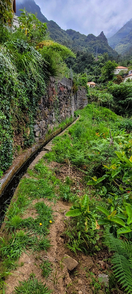 Levada da Achada do Beirão — Durch die Gärten bis zur Kreuzung mit dem Caminho do Estreito da Vargem — Foto 5