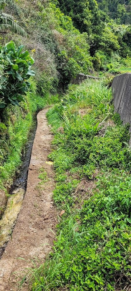 Levada da Achada do Beirão — Die ersten Meter hinter der Stützmauer der Ribeira da Vargem — Foto 2