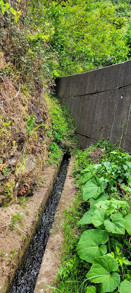 Levada da Achada do Beirão — Die ersten Meter hinter der Stützmauer der Ribeira da Vargem — Foto 1