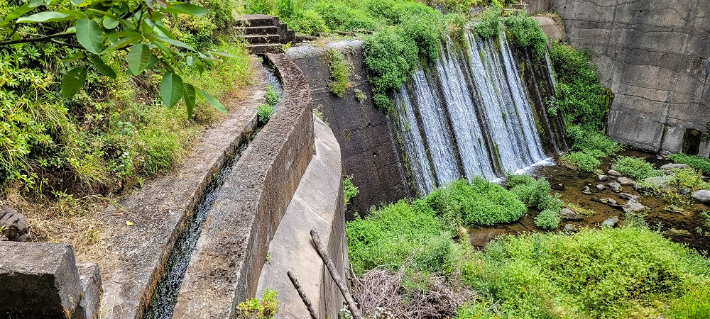 Levada da Achada do Beirão — Die Madre in der Ribeira do Vargem — Foto 1