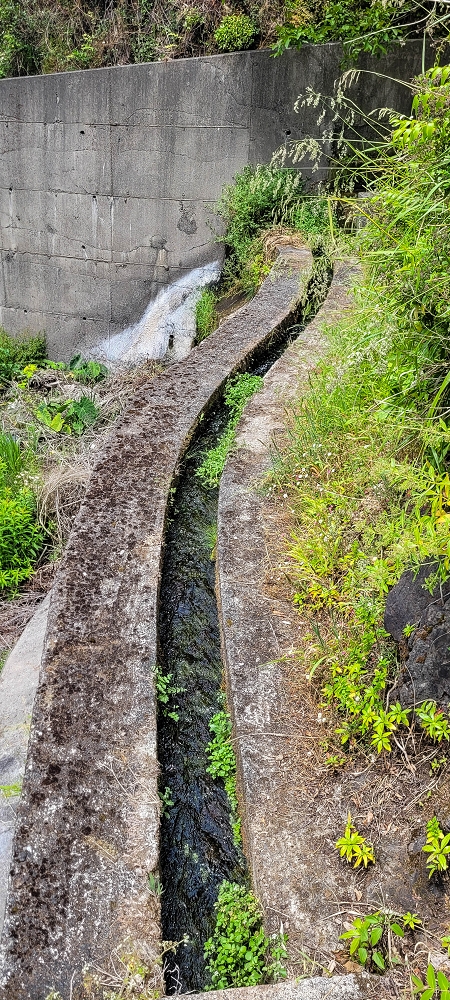 Levada da Achada do Beirão — Die Madre in der Ribeira do Vargem — Foto 5