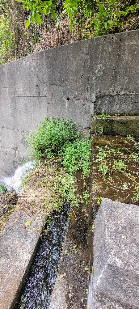 Levada da Achada do Beirão — Die Madre in der Ribeira do Vargem — Foto 6
