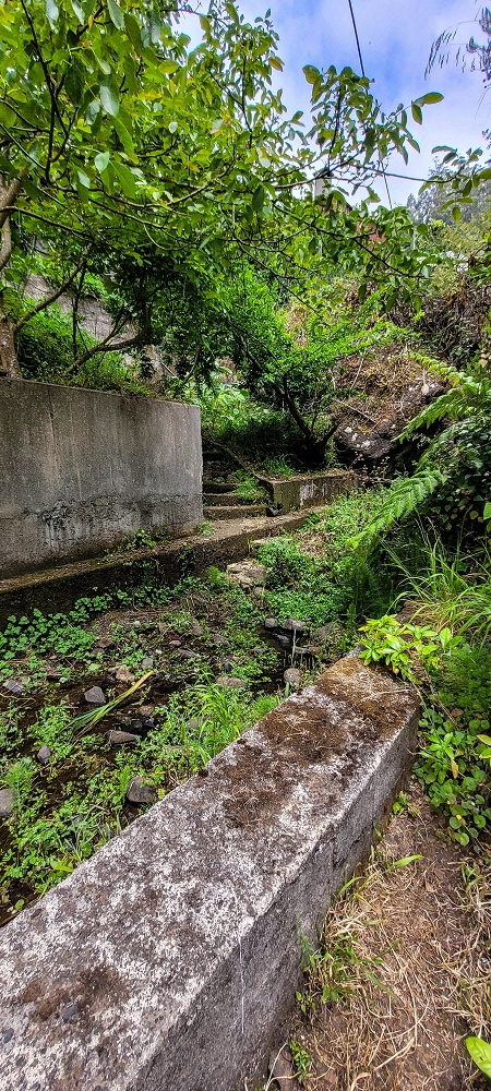 Levada da Achada do Beirão — Die Madre in der Ribeira do Vargem — Foto 7