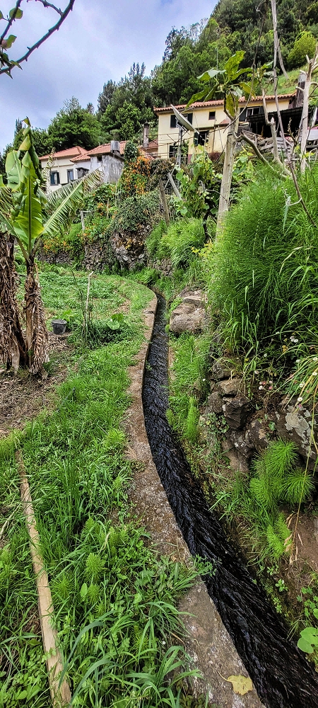 Levada da Achada do Beirão — Durch die Gärten bis zur Kreuzung mit dem Caminho do Estreito da Vargem — Foto 1