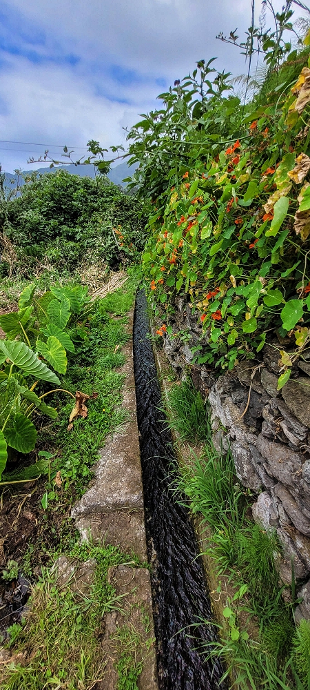 Levada da Achada do Beirão — Durch die Gärten bis zur Kreuzung mit dem Caminho do Estreito da Vargem — Foto 2