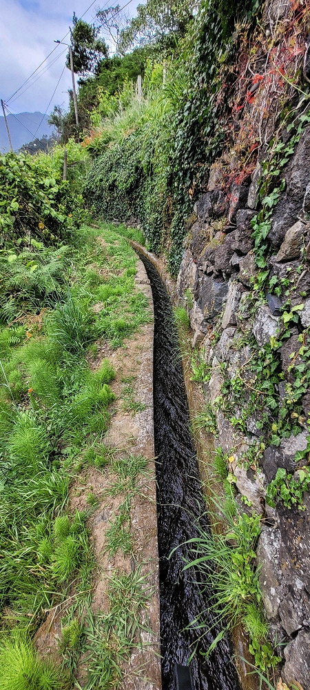 Levada da Achada do Beirão — Durch die Gärten bis zur Kreuzung mit dem Caminho do Estreito da Vargem — Foto 4