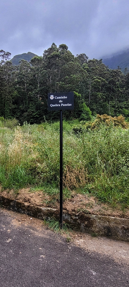 13.06.2022 3 neue Levadas westlich von Rosario — Até Vargem e subida à Levada da Faja do Rodrigues — foto 1