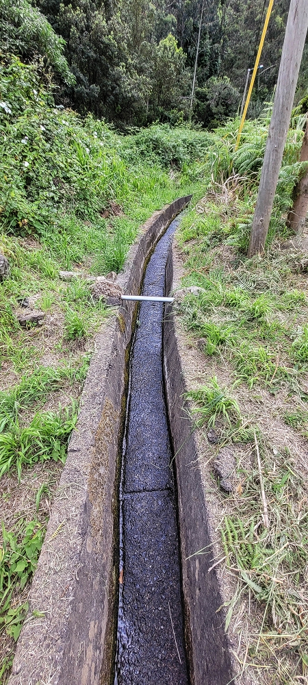 13.06.2022 3 neue Levadas westlich von Rosario — Até Vargem e subida à Levada da Faja do Rodrigues — foto 7
