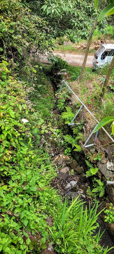 13.06.2022 3 neue Levadas westlich von Rosario — Até Vargem e subida à Levada da Faja do Rodrigues — foto 8