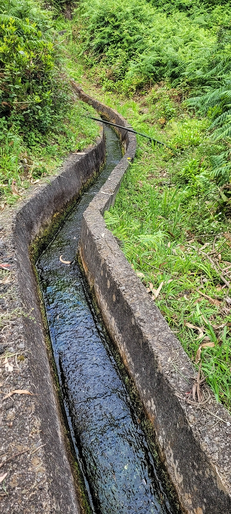 13.06.2022 3 neue Levadas westlich von Rosario — Até Vargem e subida à Levada da Faja do Rodrigues — foto 10