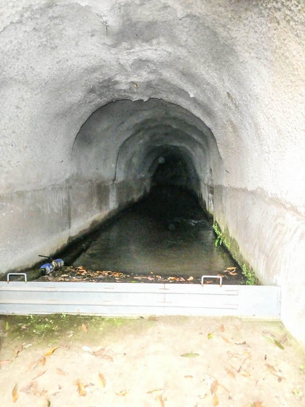 — photo 81