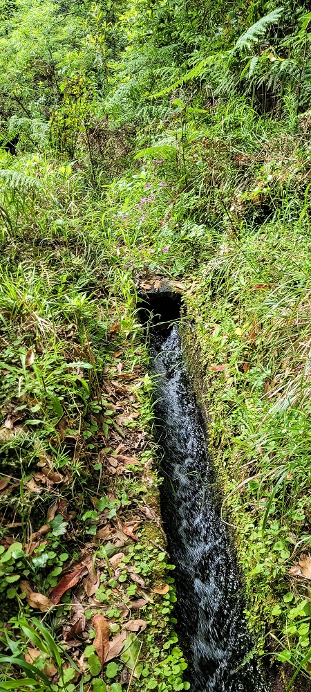 Levada dos Agriões — O fim do tubo — foto 1
