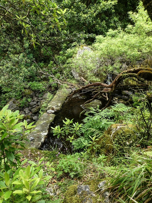 Levada dos Agriões — A primeira Madre vista de oeste — foto 1
