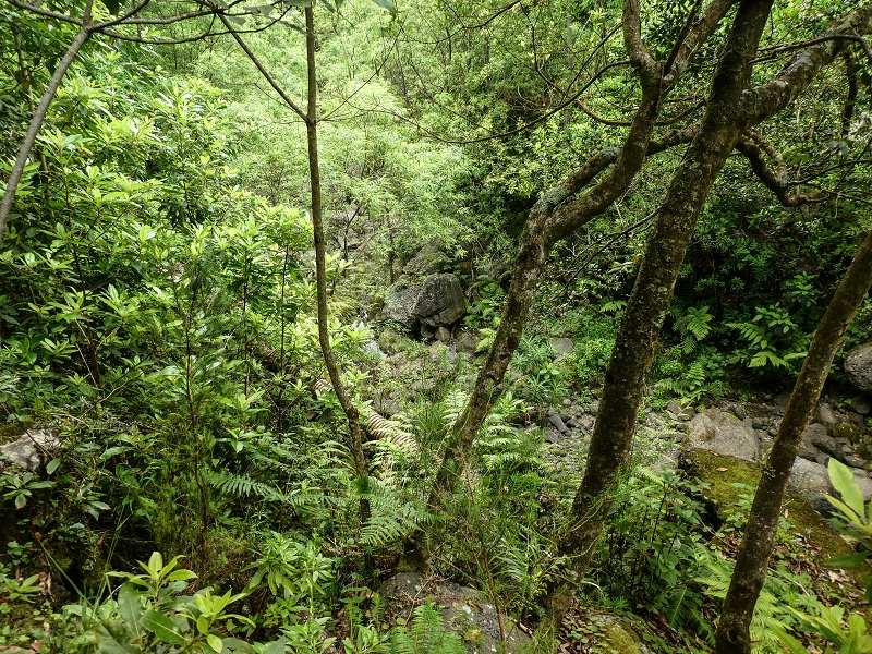 Levada dos Agriões — A primeira Madre vista de oeste — foto 2
