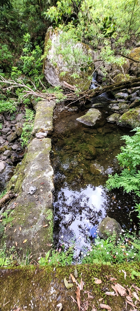 Levada dos Agriões — A primeira Madre vista de oeste — foto 3