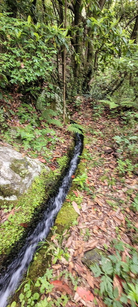 Levada dos Agriões — O traçado aberto da levada até ao leito do ribeiro — foto 2