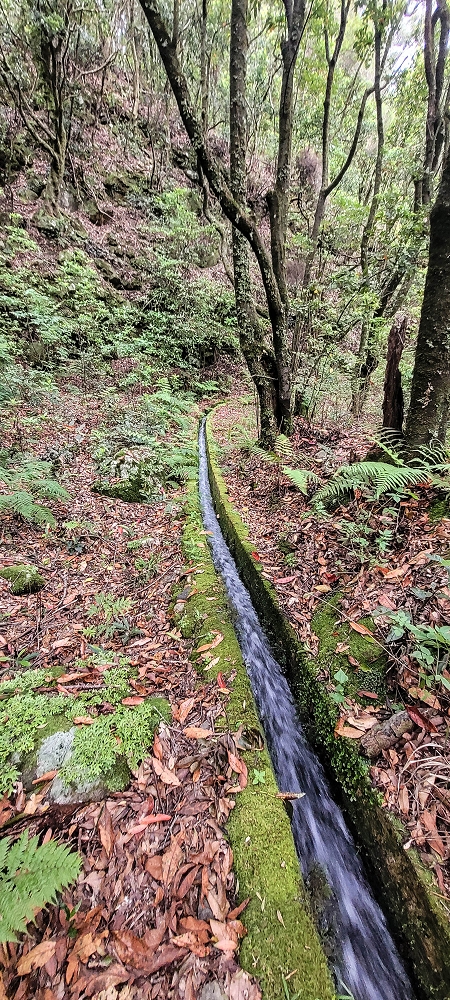 Levada dos Agriões — O traçado aberto da levada até ao leito do ribeiro — foto 3