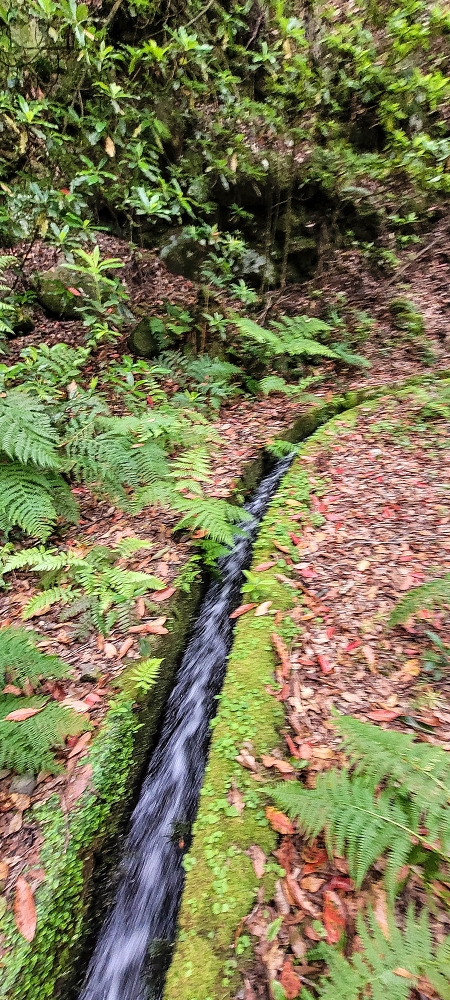 Levada dos Agriões — O traçado aberto da levada até ao leito do ribeiro — foto 4
