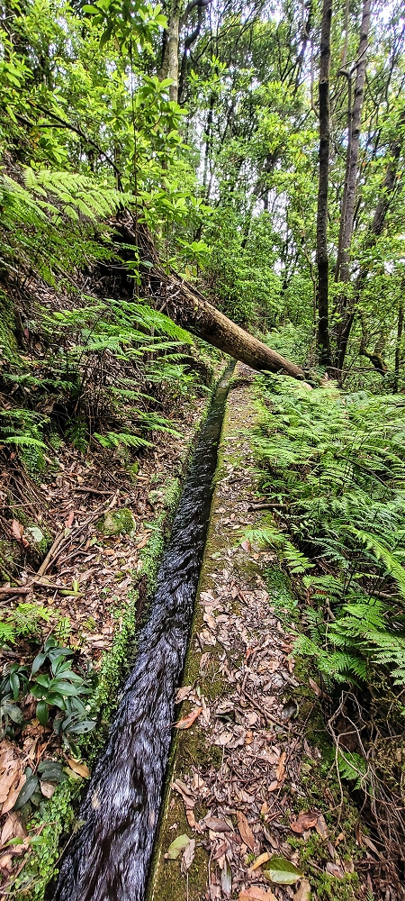 Levada dos Agriões — O traçado aberto da levada até ao leito do ribeiro — foto 5