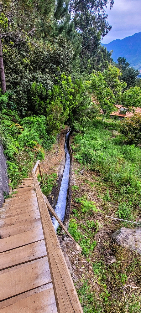 Levada dos Agriões — Continuação sob a Levada da Faja do Rodrigues — foto 1