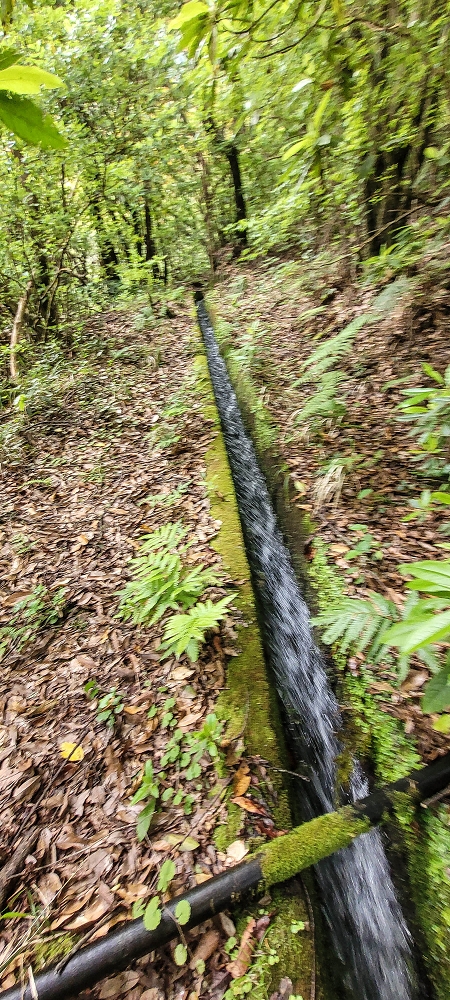 Levada dos Agriões — O traçado aberto da levada até ao leito do ribeiro — foto 7
