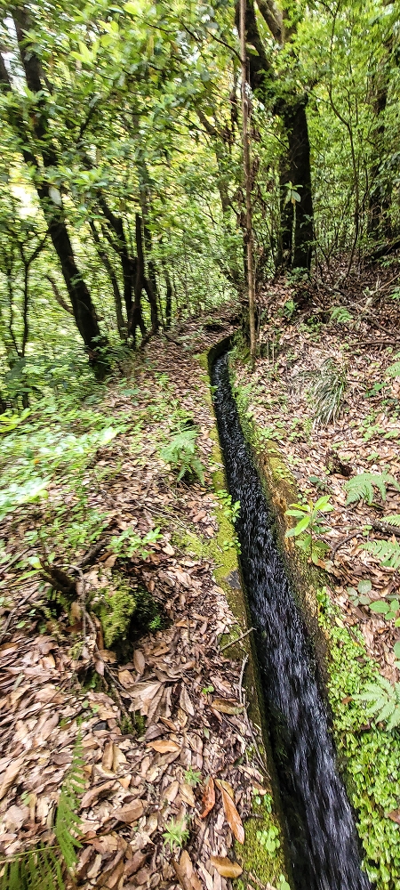 Levada dos Agriões — O traçado aberto da levada até ao leito do ribeiro — foto 8