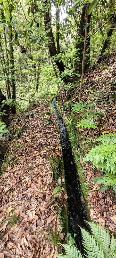Levada dos Agriões — O traçado aberto da levada até ao leito do ribeiro — foto 9