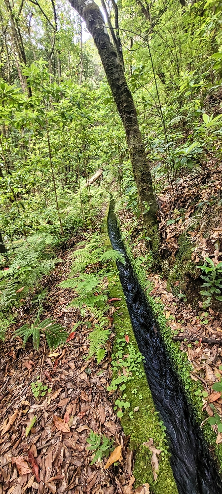 Levada dos Agriões — O traçado aberto da levada até ao leito do ribeiro — foto 10