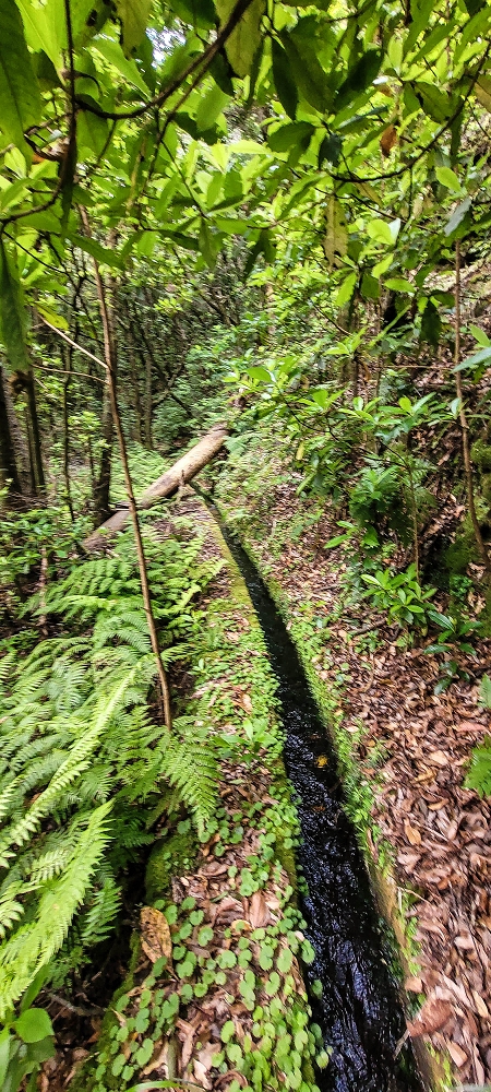 Levada dos Agriões — O traçado aberto da levada até ao leito do ribeiro — foto 11
